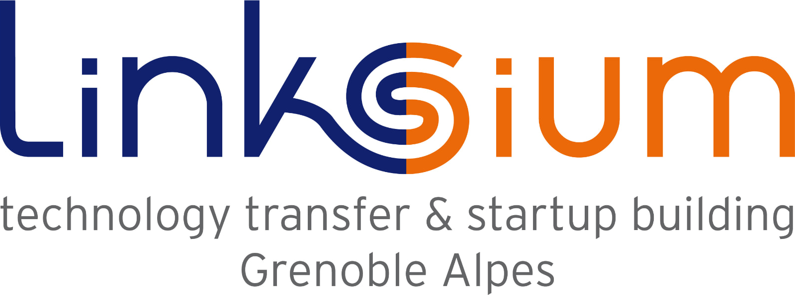 Logo de Linksium